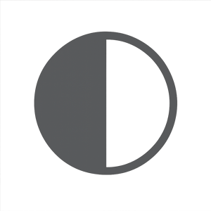 Minimal flat icon of a full circle halffilled vertically left side filled right side empty dark gray fill transparent background no gradients no shado