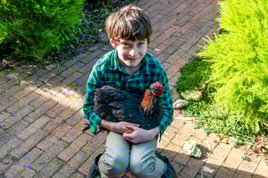 free-photo-of-boy-holding-a-cockerel